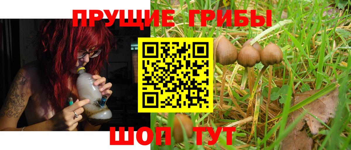 Галлюциногенные грибы прущие грибы Сунжа