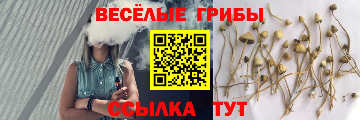 Псилоцибиновые грибы GOLDEN TEACHER  Галлюциногенные грибы MAGIC MUSHROOMS  что такое   Сунжа  Вход с VPN 