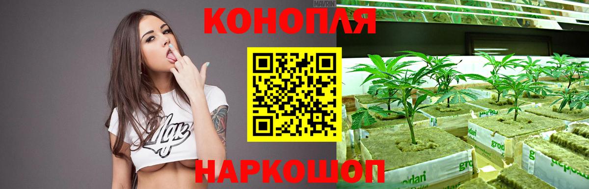 МАРИХУАНА марихуана Сунжа